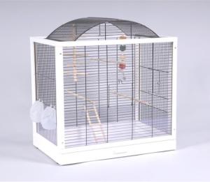 Belinda czarny/biały