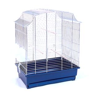 Beatrix chrom/niebieski