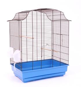 Bernie Super czarny/niebieski