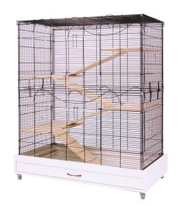 Yasmine Rodent czarny/biały