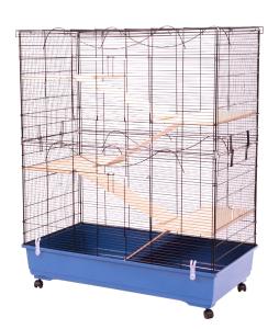 Alexia X Rodent czarny/niebieski