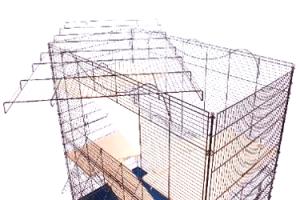 Alexia X Rodent czarny/niebieski thumbnail