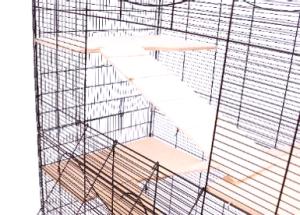 Alexia X Rodent czarny/niebieski thumbnail