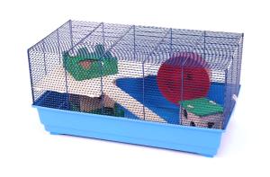 Tobi Super 3er Set Special Ed. niebieski/kolorowy