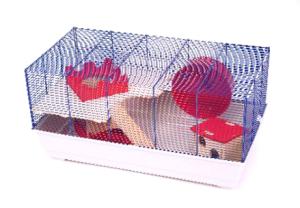 Tobi Super 3er Set Special Ed. niebieski/kolorowy