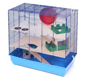 Leon Special Edition niebieski/jasnoniebieski