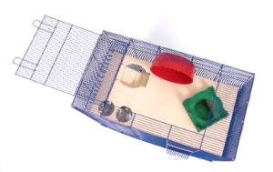 Leon Special Edition niebieski/jasnoniebieski