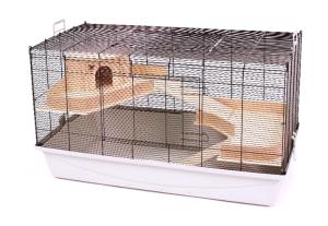 Roy 100 czarny/jasnoszary