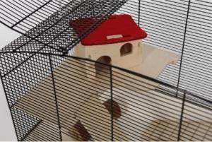 Dominikus czarny/biały thumbnail