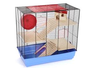 Teddy Super XL czarny/niebieski