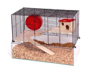 Rock Resort czarny/przezroczysty