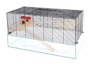 Rock Resort 100 czarny/przezroczysty