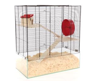 Rock Spa czarny/przezroczysty