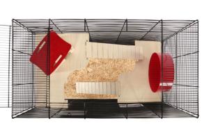 Rock Spa czarny/przezroczysty