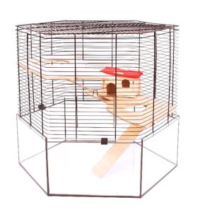 Sonora czarny/przezroczysty