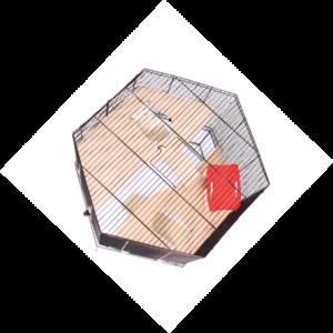 Sonora czarny/przezroczysty