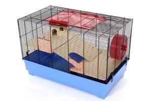 Teddy Super XXL czarny/niebieski