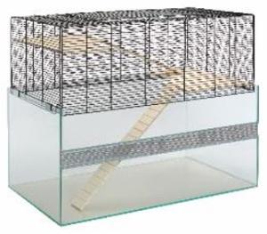 Falco 80 czarny/przezroczysty thumbnail