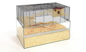 Falco 100 czarny/przezroczysty