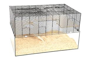 Falco 120 czarny/przezroczysty