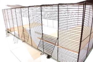 Falco 120 czarny/przezroczysty thumbnail