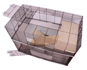 Sky Rat 100 czarny/jasnoszary