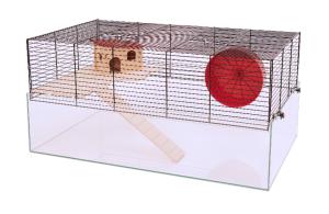 Coco czarny/przezroczysty