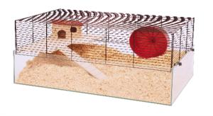 Coco czarny/przezroczysty thumbnail