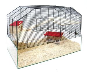 Figo 80 czarny/przezroczysty