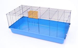 Rabbit 120 4er Set niebieski/kolorowy thumbnail