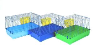 Maxi X 4er niebieski/kolorowy