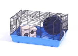 Holli Super 3 set czarny/kolorowy