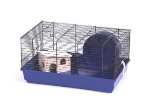 Holli Super 3 set czarny/kolorowy