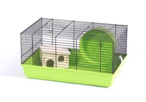 Holli Super 3 set czarny/kolorowy