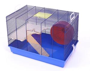 Mario Pop 2er niebieski/jasnoniebieski