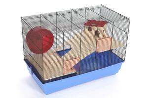 Teddy Super X czarny/niebieski