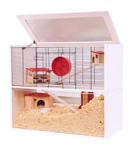 Marrakesch 100 - Piętro