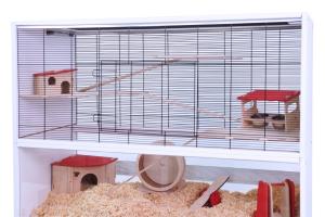 Marrakesch 120 - Piętro