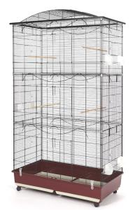 Alexia Bird czarny/bordowy-beżowy