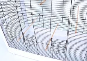 Belinda XXL czarny/biały