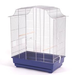 Bernie Super czarny/niebieski