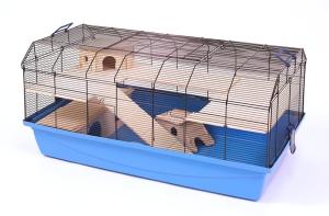 Alexander czarny/niebieski