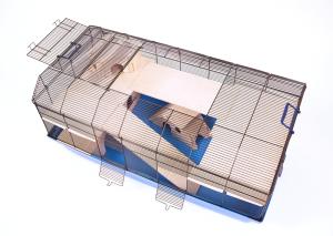 Alexander czarny/niebieski thumbnail