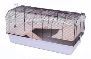 Alexander czarny/niebieski thumbnail