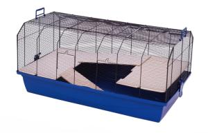 Alexander czarny/niebieski thumbnail