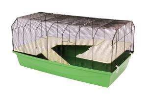 Alexander czarny/niebieski thumbnail