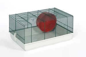 Jacob czarny/kolorowy