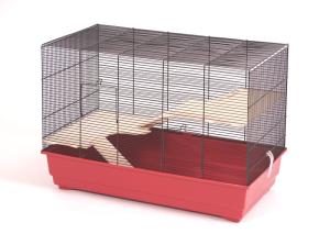 Ricardo X czarny/jasnoniebieski