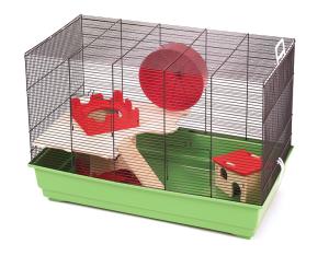 Roy Special Edition niebieski/jasnoniebieski