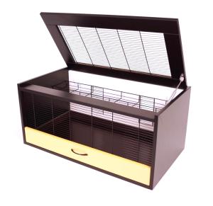 Małe terrarium dla kurczaków thumbnail